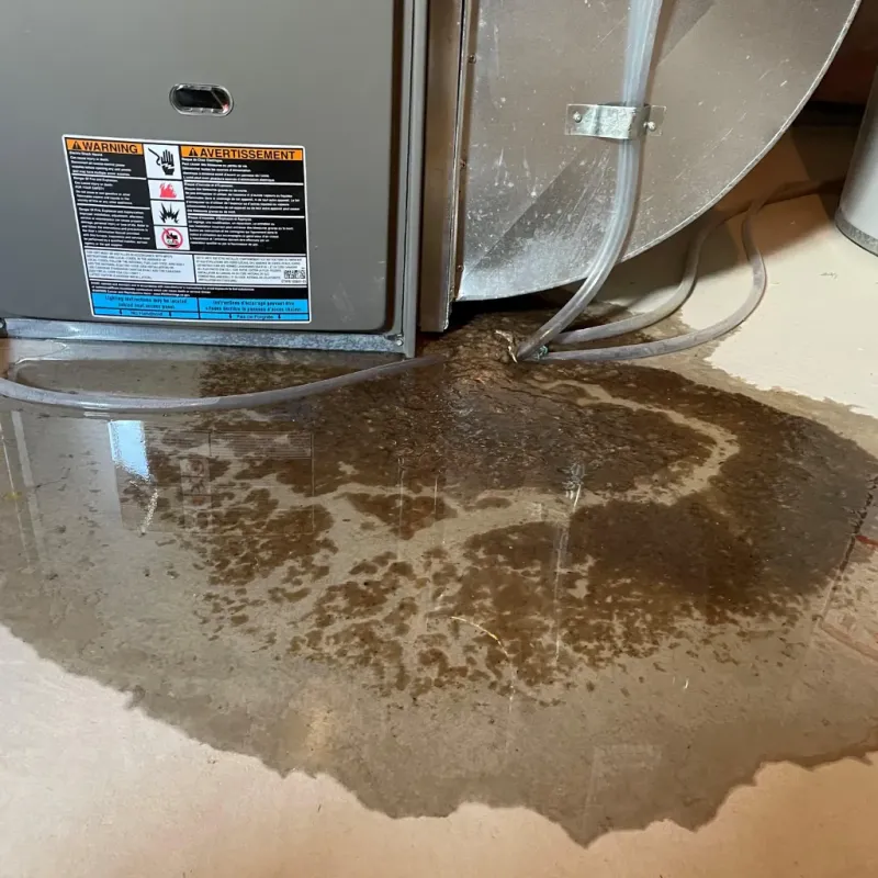 Appliance Leak Cleanup in Forest Hills, PA
