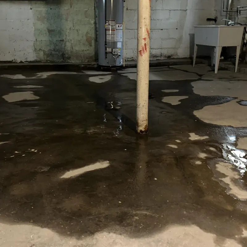 Emergency Water Extraction And Removal in Forest Hills, PA